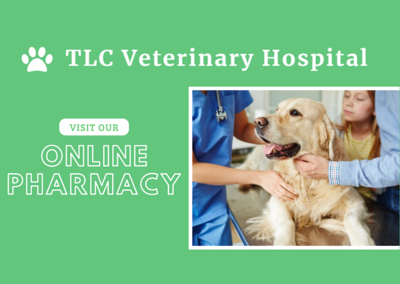 Carousel Slide 2: Visit our convenient online pet store and pharmacy