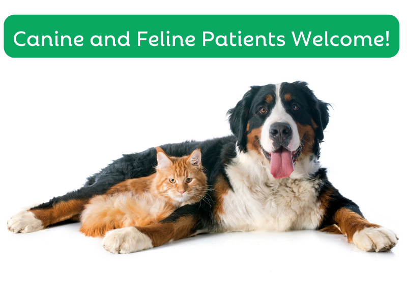 Carousel Slide 5: Offering veterinary support for our beloved canine and feline patients